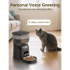 2-in-1 Automatic Pet Feeder and Water Fountain, Food & Water Dispenser with Timer and Filter - 3 of 4