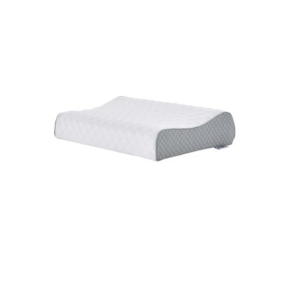 Sealy Contour Memory Foam Pillow : Target