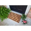 1'4" x 2'4" Love Letter Indoor/Outdoor Coir Doormat Red/Black - Entryways: PVC Backed, Shake Clean, Medium Pile - 4 of 4