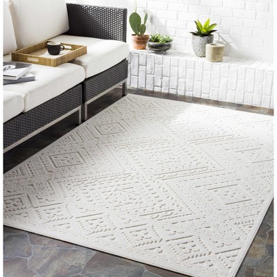 Hauteloom Trigg Outdoor Rug