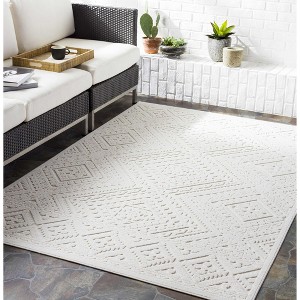 Hauteloom Trigg Outdoor Rug - 1 of 4