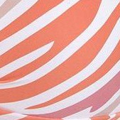 orange multi