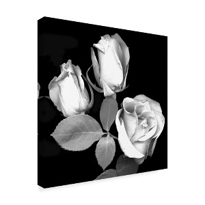 Trademark Fine Art -Susan S. Barmon 'Three Roses Black And White' Canvas Art - 1 of 3