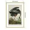 Amanti Art Lustr Great Blue Heron in Pearl White by John James Audubon Wood Framed Wall Art Print - 3 of 4