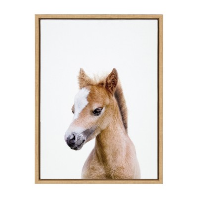 Natural Framed Baby Horse Canvas Print, 27" x 22"