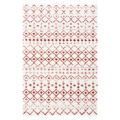 Berber Fringe Shag BFG516 Power Loomed Rug - Safavieh