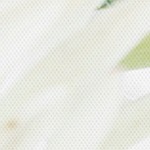 farmhouse gray