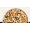 Freshpet Homestyle Creations Chopped Beef Vegies and Brown Rice Entree Wet Dog Food - 1lb - 3 of 3