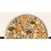 Freshpet Homestyle Creations Chopped Beef Vegies and Brown Rice Entree Wet Dog Food - 1lb - image 3 of 3