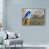 Trademark Fine Art -Chris Vest 'Mountain Blue Birds' Canvas Art - 3 of 4