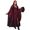 California Costumes The Red Witch Women's Costume - 2 of 4