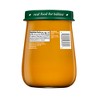 Beech-Nut Organics Pumpkin Baby Food Jar - 4oz - image 2 of 4