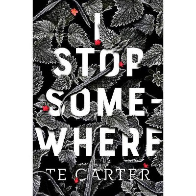 I Stop Somewhere - by  Te Carter (Paperback)