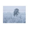 Trademark Fine Art Alexey Kharitonov First Snow Wood Slat Art - image 3 of 4