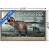 Trends International Dinosaurs - T-Rex Framed Wall Poster Prints - 3 of 4