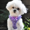 Doggie Design American River Choke Free Dog Polka Dot Ruffle Harness-Paisley Purple - 3 of 4