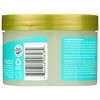 Alba Botanica Sea Salt Body Scrub - 14.5 oz - 2 of 4
