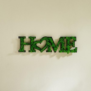 Gulches HOME Letter Art Moss Wall Decor - Whimsical & Eco-Friendly Accent - 1 of 4