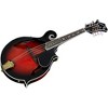 Washburn M3SW Americana F-Style Mandolin - 2 of 4