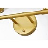 Elegant Lighting Ansley 4 light Brass and frosted white Bath Sconce - 4 of 4