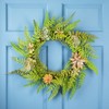 Northlight Succulents and Foliage Artificial Spring Twig Wreath, Green - 22-Inch - 2 of 4