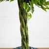 Nearly Natural 5-ft Braided Ficus Artificial Tree in Slate Planter UV Resistant (Indoor/Outdoor) - 3 of 4