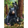 Briarwood Lane Summer Garden Flag 12x18 For Outdoor Black Bear Family Nature For Summer Garden Flag Flags For Outside - 3 of 4