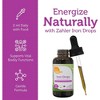 Zahler Iron Drops, Liquid Iron Concentrate, Gentle and Non-Constipating Iron Formula - 2 Fluid Ounces, About 30 Servings - 4 of 4