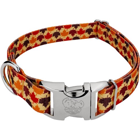 Buckle-Down CALI Yellowith Orange Martingale Dog Collar : Pet  Supplies