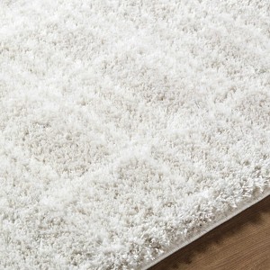 Hauteloom Alamea Area Rug - 1 of 4