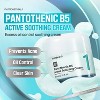 numbuzin No.1 Pantothenic B5 Active Soothing Face Cream - 2.7 fl oz - 3 of 4