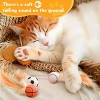 AEELLEEA 3 Pack Interactive Cat Ball Toys: Bouncy Elastic Balls with Natural Feathers for Indoor Cats & Kittens - 4 of 4