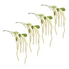 Amaranthus Stem Set Of 4 – Green & White Faux Stems – 53.25"H – Indoor Floral Decor – By Melrose - 3 of 3