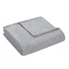 Kate Aurora Ultra Plush Contemporary Geometric Hypoellergenic Accent Throw Blanket - 50 in. W x 60 in. L - 4 of 4