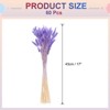 Unique Bargains Natural Dried Floral Bunny Tail Artificial Plants 60 Pcs - 2 of 4