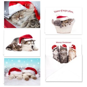 25ct Christmas Cats Greeting Cards - Masterpiece Studio - 1 of 4