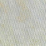 coastal white