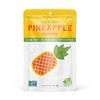 Nature's Turn Freeze-Dried Fruit Snacks - Pineapple Crisps - No Sugar Added, Non GMO, Gluten Free, Nothing Artificial 15g (0.53oz) - 6 Pack - 2 of 4