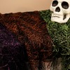Northlight 3pc Purple, Orange and Green Spiderweb Halloween Decorations, 6ft - 3 of 4