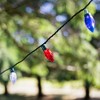 Northlight Patriotic LED C9 Christmas Lights - Red, White and Blue - 16' Green Wire - 25ct - 2 of 4