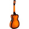 Gold Tone PBS-D Paul Beard Signature Series Squareneck Deluxe Resonator Guitar Tobacco Sunburst - 4 of 4