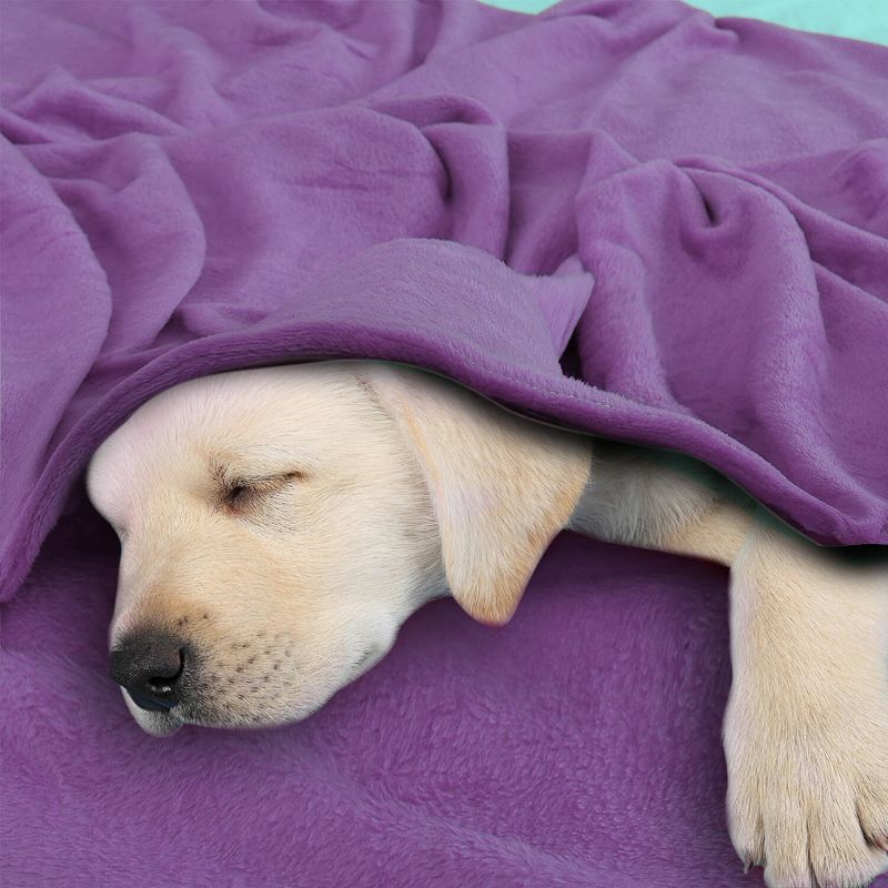 PiccoCasa 100% Polyester Soft Warm Fleece Plain Plush Bed Blankets 1 Pc, 5 of 9