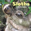 TF Publishing 13.5"x14.5" 2026 Sloths Wall Calendar - 2 of 4