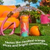 Alani Nu Orange Kiss Energy Drink - 6pk/12 fl oz Cans - 4 of 4