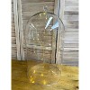 Essential Decor & Beyond 19.5" Clear Glass Dome Display Cover Decor - 3 of 4