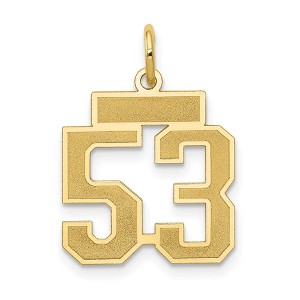 Black Bow Jewelry 14k Yellow Gold, Jersey Collection, Small Number 53 Pendant - 1 of 4