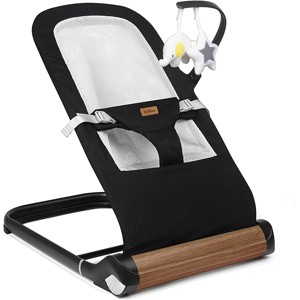 Baby Bouncer Chair - Comfortable Support for Your Little One's Blissful Moments (Net, Black) - 1 of 1
