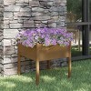 vidaXL Garden Planter Honey Brown 27.6"x27.6"x27.6" Solid Wood Pine - 2 of 4