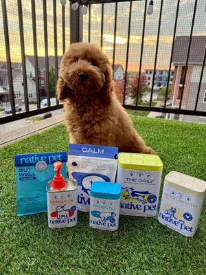 Guest review image 2 of 3, zoom in