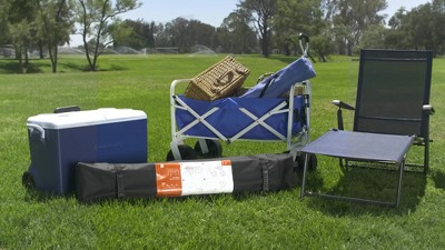 Gray 10x10ft Steel Pop-Up Canopy Tent with Wheeled Case